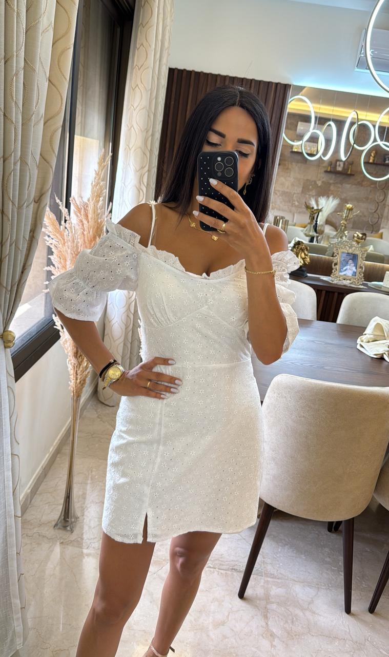 Embroidered Puff Sleeve Mini Dress